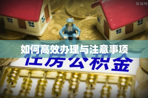 阿尔山如何高效办理与注意事项