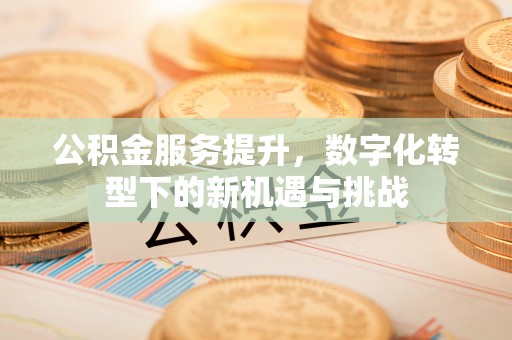 阿尔山公积金服务提升，数字化转型下的新机遇与挑战