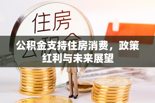 阿尔山公积金支持住房消费，政策红利与未来展望