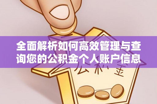 阿尔山全面解析如何高效管理与查询您的公积金个人账户信息