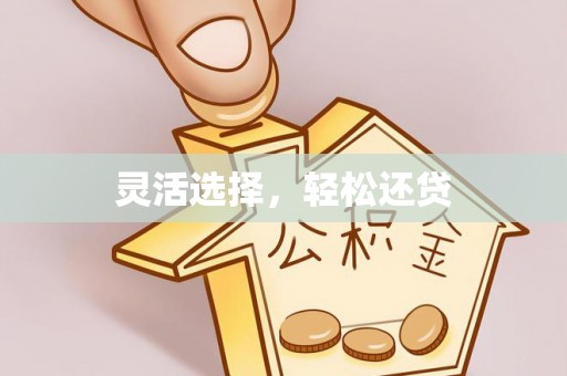 阿尔山灵活选择，轻松还贷