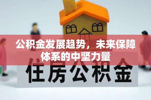 阿尔山公积金发展趋势，未来保障体系的中坚力量
