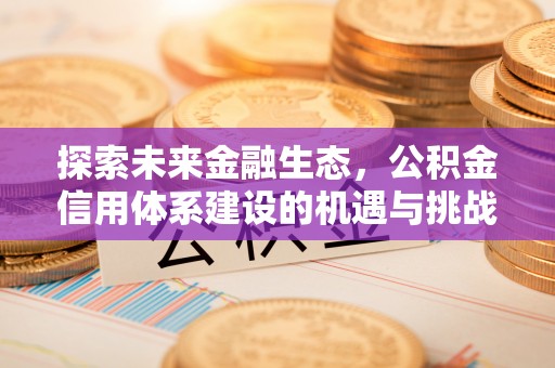 阿尔山探索未来金融生态，公积金信用体系建设的机遇与挑战