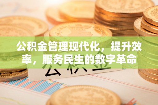阿尔山公积金管理现代化，提升效率，服务民生的数字革命