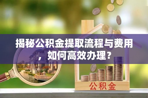 阿尔山揭秘公积金提取流程与费用，如何高效办理？