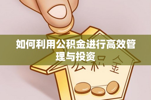 阿尔山如何利用公积金进行高效管理与投资